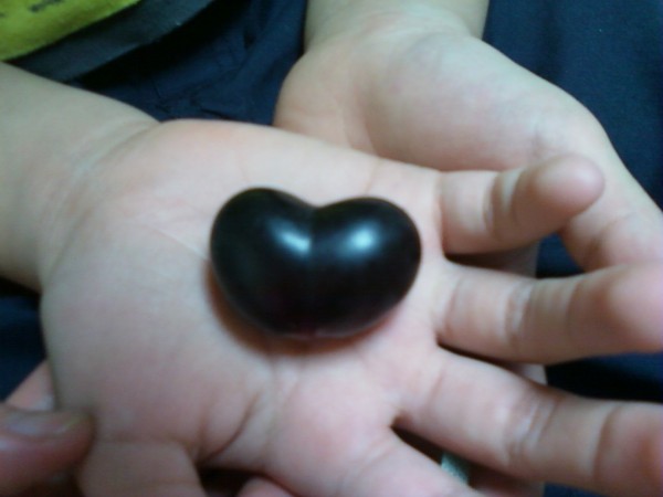 thumb0ed231b91893fecbf4f6ea96c7698629_1713419005_6962.jpg